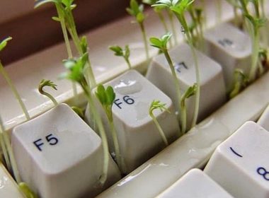 yapay zekan çağında yetenek