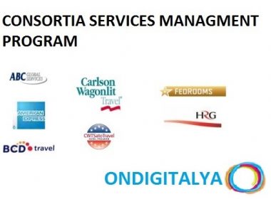 CONSORTIA SERVICES