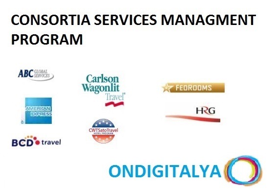 CONSORTIA SERVICES