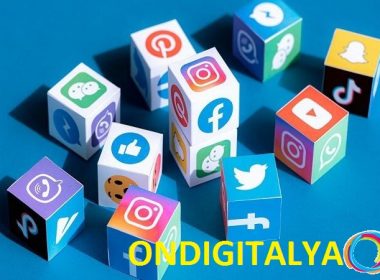 NEDEN SOSYAL MEDYA AJANSI