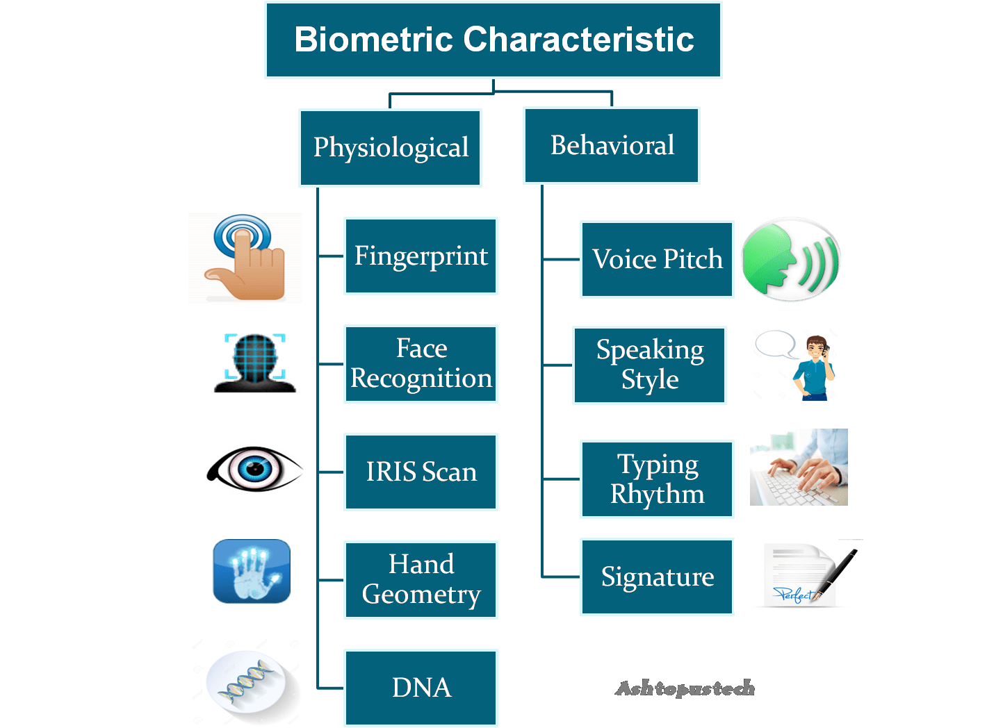 biyometrik imza