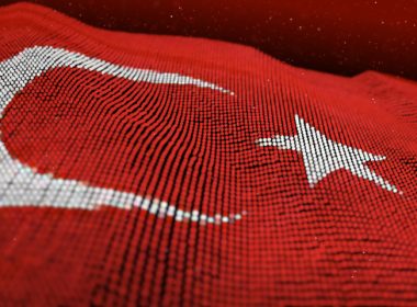 türkiye nin dna sı